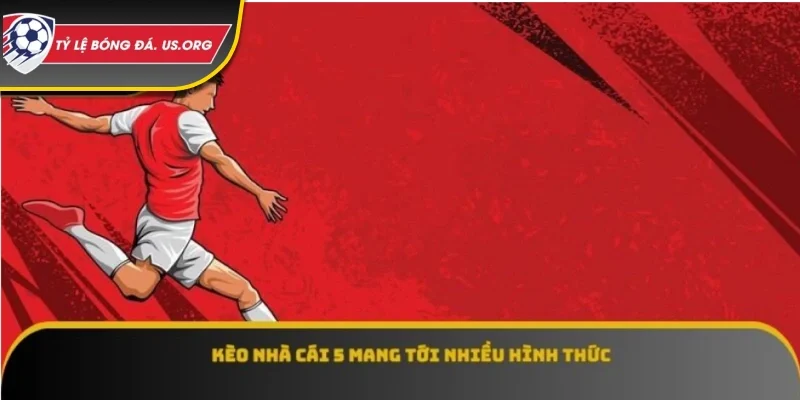 Kèo Nhà Cái 5 - Giải Mã Bí Mật & Tối Ưu Cơ Hội Thắng